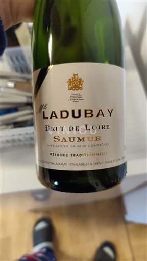 Valle del Loira Saumur Maison Ladubay Brut de Loire 2022