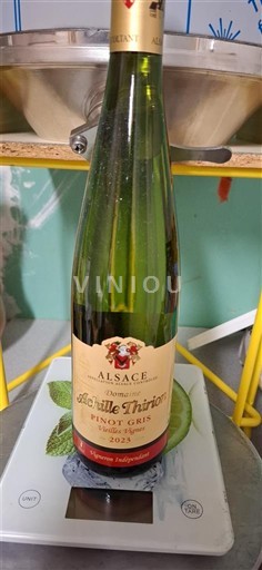 Alsazia Achille Thirion 2022