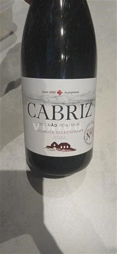 Bồ Đào Nha Dão Cabriz Colheita Seleccionada Không niên vụ