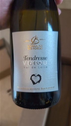 Dolina Loare Domaine S Forges Tendresse 2024