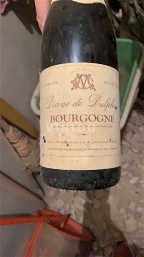 Bourgondië Bourgogne Diane de Dulphe 2002