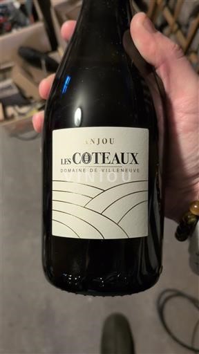 Loiredalen Anjou Domaine Villeneuve Les Coteaux 2022