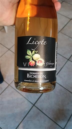 Bourgogne Mâcon et mâcon-villages Domaine Bicheron Licyte Non Millésimé