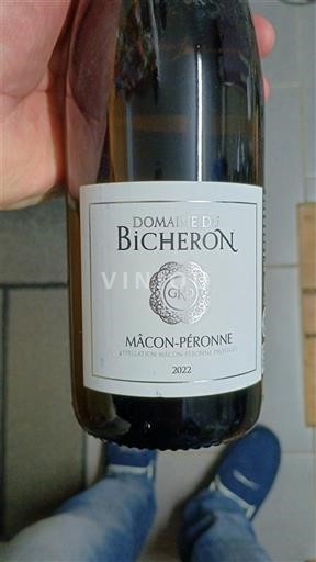 Bourgogne Mâcon et mâcon-villages Domaine Bicheron 2022