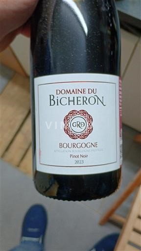 Bourgogne Domaine Bicheron 2023