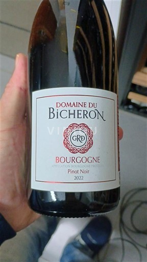 Bourgogne Domaine Bicheron 2022