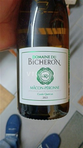Bourgogne Mâcon et mâcon-villages Domaine Bicheron Quercus 2023