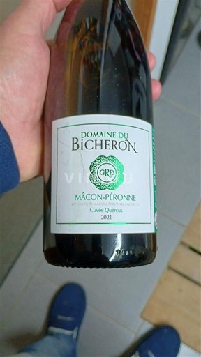 Bourgogne Mâcon et mâcon-villages Domaine Bicheron Quercus 2021