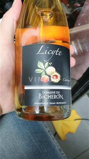 Bourgogne Mâcon et mâcon-villages Domaine Bicheron Licyte Châtaigne Non Millésimé