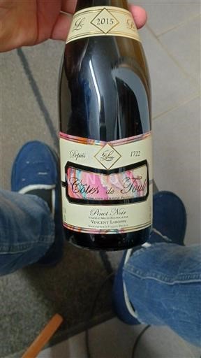 Lorraine Côtes-de-toul Vincent Laporte 2015