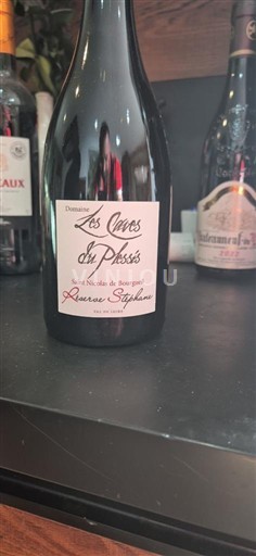 Valle del Loira Saint-Nicolas-De-Bourgueil Domaine Les Caves des Prises Saint Nicolas de Bourgueil Sin añada