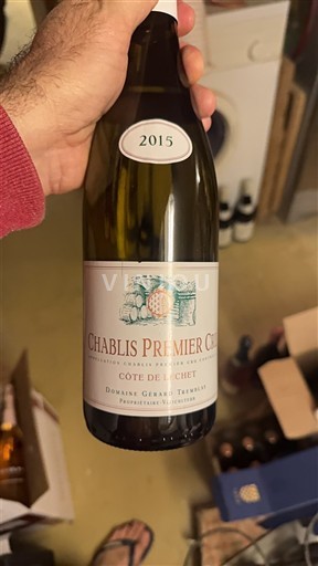 Burgundi Chablis Premier Cru Domaine Gérard Tremblay Côte de Léchet 2015