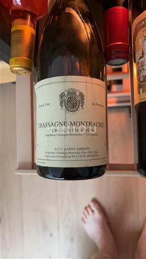 Borgoña No especificado Premier Cru S.C.F. Saint-Abdon 1er Cru Les Chaumées 1998