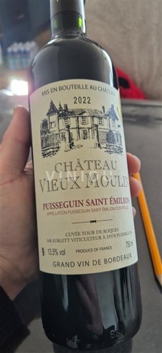 Burdeos Puisseguin-saint-émilion Château Vieux Moulin Tour de Roches 2022