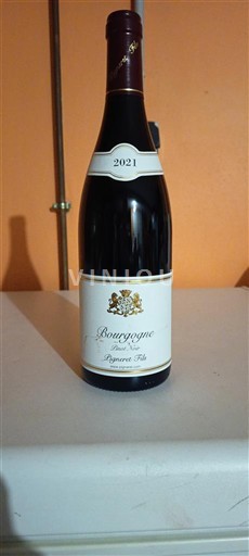 Burgundsko Pigneret Fils Pinot Noir 2021