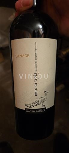 Puglia Không được chỉ định Cantina Diomede Canace Không niên vụ