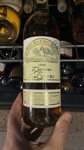 Sudoeste Côtes de Gascogne Domaine Eyssac 1999