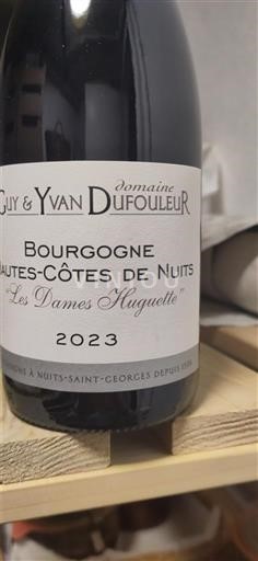 Borgogna Hautes Côtes de Nuits Domaine Guy & Yvan Dufouleur Les Dames Huguette 2023