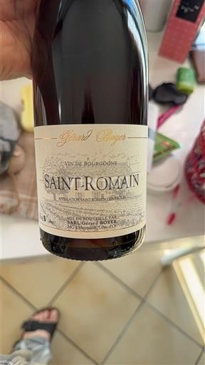 Bourgogne Saint-Romain Gérard Corges 2023