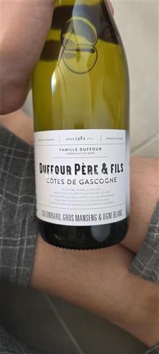 Sudoeste Côtes de Gascogne Dufour Père & Fils Sin añada