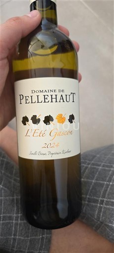 Tây Nam Côtes de Gascogne Domaine Pellehaut L'Été Gascon 2022