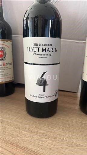 Tây Nam Côtes de Gascogne Haut Marin Tarron 2020