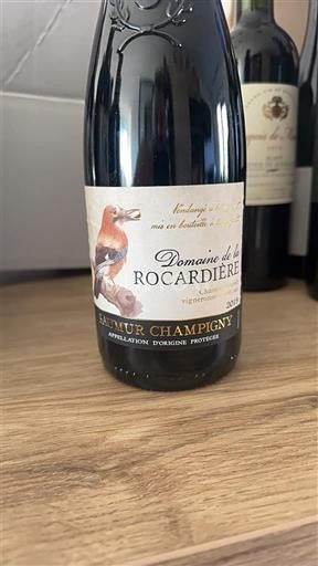 Dolina Loare Saumur-champigny Domaine La Rocaridère 2019
