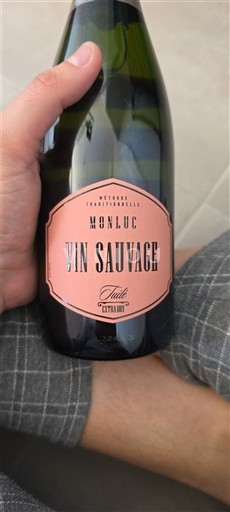 Sudoeste Não especificado Monluc Vin Sauvage Não Sazonado