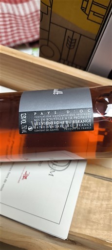 Languedoc ja Roussillon Pays d'Oc Les Vignerons du Bérange Sinsault Ei vuosikertaa