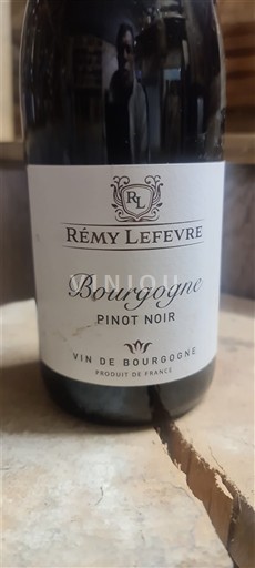 Burgundsko Rémy Lefevre Pinot Noir 2021
