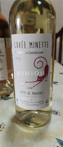 Provence Côtes-de-Provence Domaine Cagueloup Minette - Blanc 2023