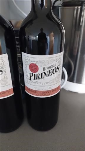 Aragonie Somontano Bodega Pirineos Tempranillo Cabernet Moristel Crianza 2018