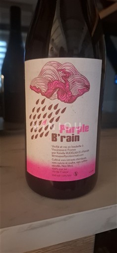 Loiredalen Ospecificerad Moulin de la Vrignauderie Purple B'rain Icke årgångsbetecknad