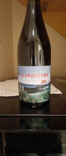 Valle del Rodano Costières di Nîmes Les Mâles Fêteurs 2022