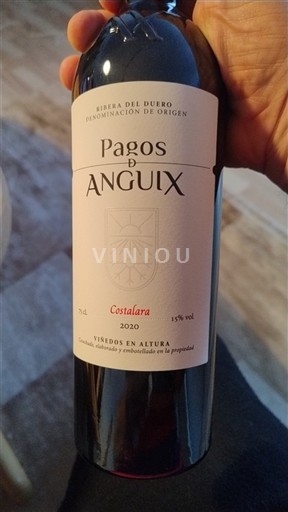 Castilia și León Ribera del Duero Pagos de Anguix Costalara 2020