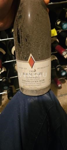 Borgoña No especificado Premier Cru Domaine Lucien Jacob Les Toussaints 1994