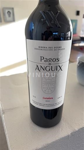 Castilien og León Ribera del Duero Pagos de Anguix Costalarán 2021