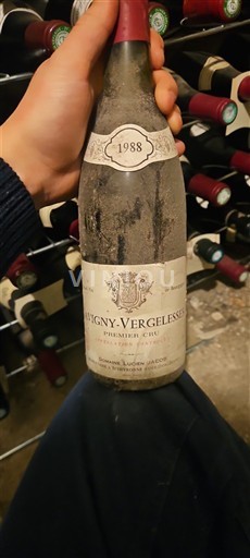 Burgund Savigny-lès-Beaune Premier Cru Domaine Savigny-Les-Beaune Domaine Louis Jadot 1988