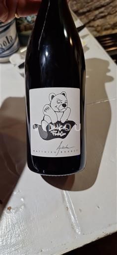 Rona dolina Ni doloceno Mathieu Barret Black Flag 2023