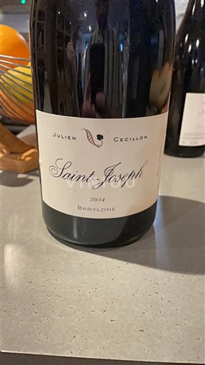 Rona dolina Saint-Joseph Julien Cecillon Babylone 2014