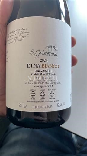 Sicilia Etna La Gelsomina Etna bianco 2023
