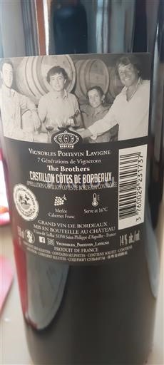 Bordeaux Castillon-côtes-de-bordeaux Vignobles Potetvin Lavigne The Brothers 2019