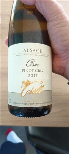 Alsace Pinot Grigio Gsell 2017