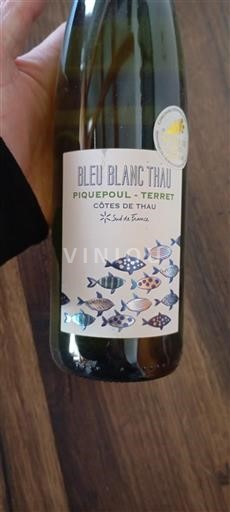 Linguadoca e Rossiglione Côtes de Thau Bleu Blanc Thau Senza annata