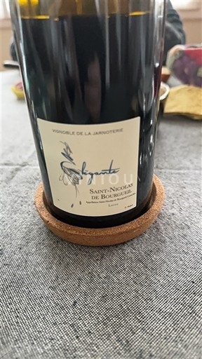 Valle del Loira Saint-Nicolas-De-Bourgueil Vignoble de la Jarnoterie Signature 2022