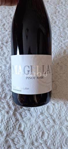 Languedoc Not Specified Magellan Pinot Noir 2024