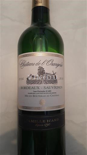 Bordeaux Château L'Orangerie Bordeaux - Sauvignon 2024
