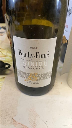 Loirevallei Pouilly-fumé Domaine André Rambeaud Les Terres Blanches 2024