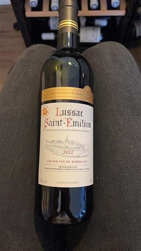 Bordeaux Lussac-Saint-Émilion Château Auguste Filhoulaud 2022