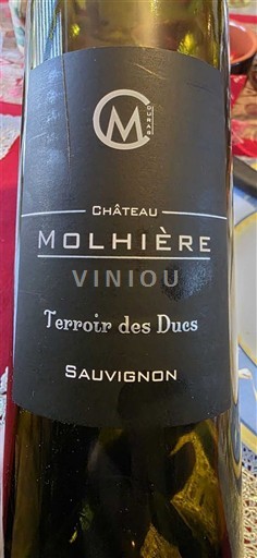 Lounais-Ranska Côtes-de-duras Château Molhière Terroir des Ducs 2024